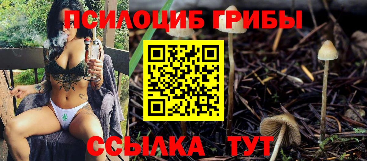 Ртищево  Псилоцибиновые грибы мицелий  Вход с VPN 