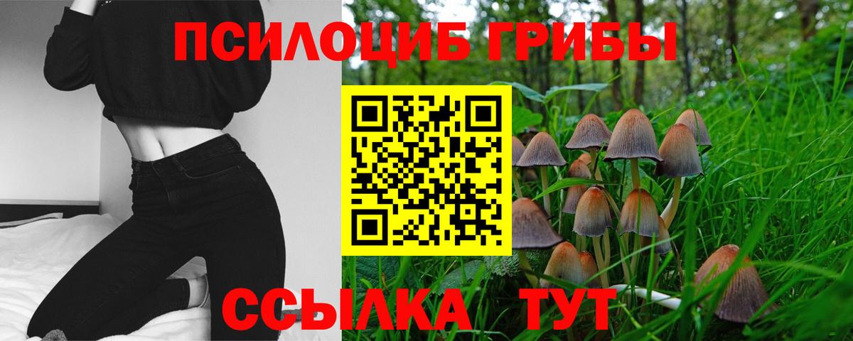 Псилоцибиновые грибы ЛСД Ртищево